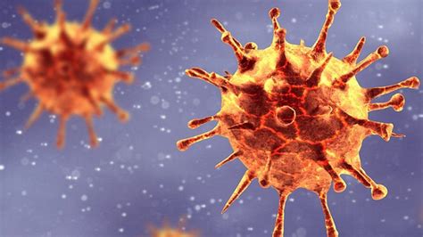 betvirus|Betacoronavirus .